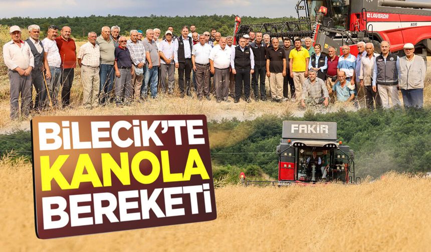 Bilecik'te Kanola Bereketi