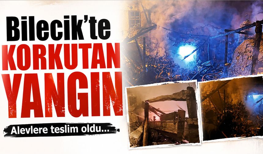 Bilecik’te Korkutan Yangın: Alevlere teslim oldu...