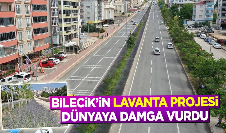 Bilecik’in Lavanta Projesi Dünyaya Damga Vurdu