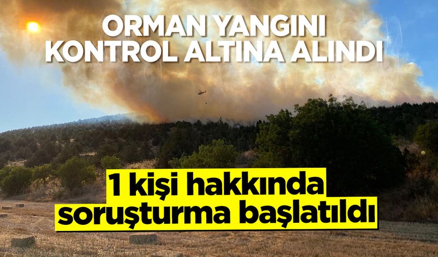 Bilecik'te Orman Yangını Kontrol Altına Alındı: 1 kişi hakkında soruşturma başlatıldı
