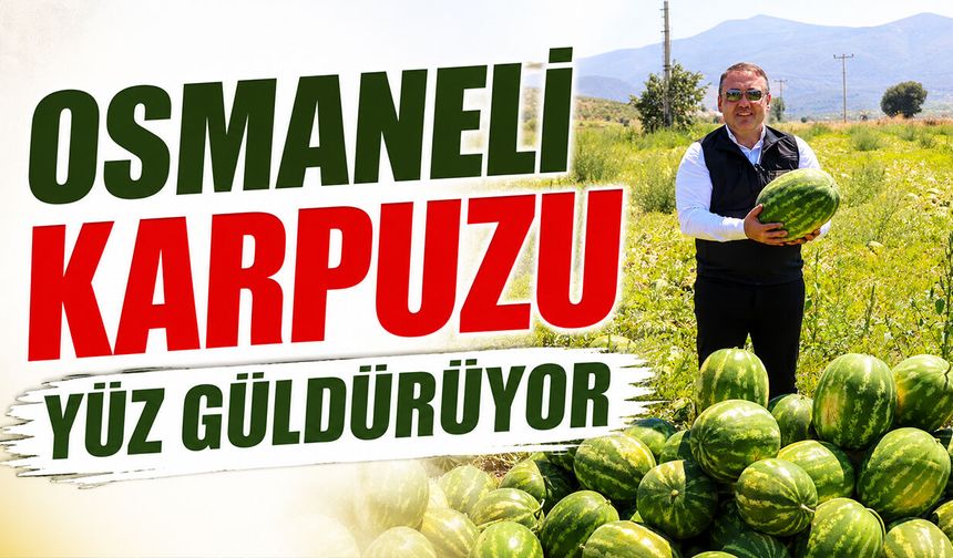 Osmaneli Karpuzu Yüz Güldürüyor