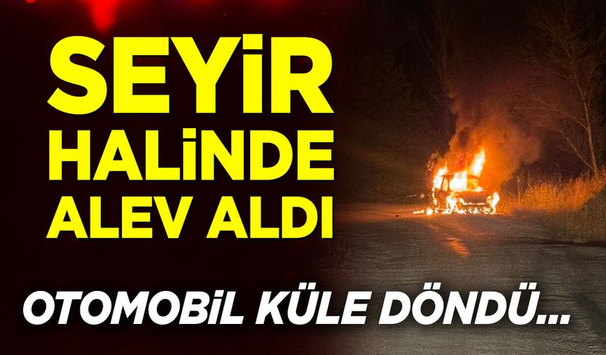 Gece yarısı alev alev yandı