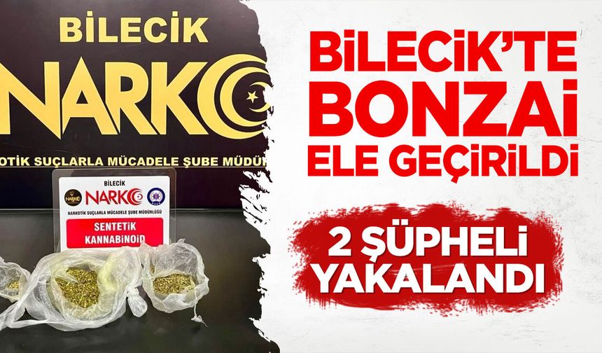 Bilecik'te Bonzai Ele Geçirildi: 2 Şüpheli Yakalandı