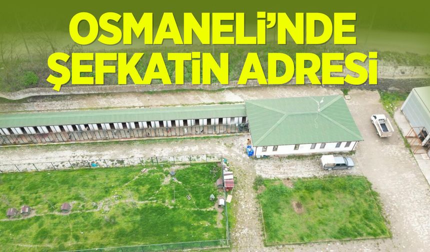 Osmaneli’nde Şefkatin Adresi