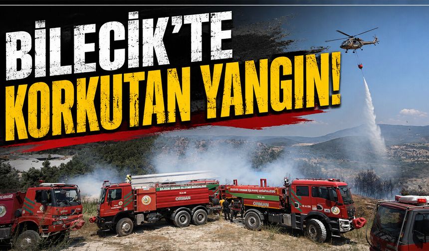 BİLECİK'TE KORKUTAN YANGIN!
