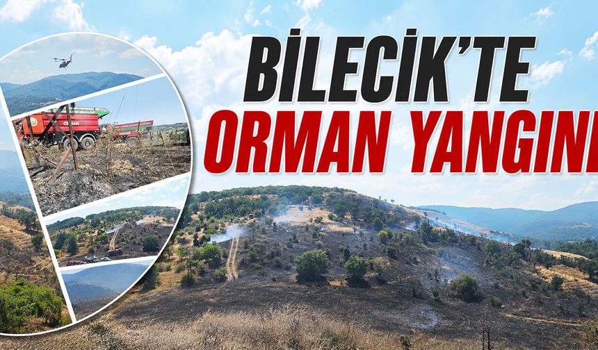 Bilecik’te 15 Hektarlık Alanı Etkileyen Orman Yangın