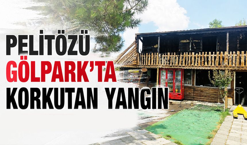 Pelitözü Gölpark'ta korkutan yangın