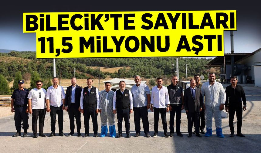 Bilecik'te sayıları 11,5 milyonu aştı