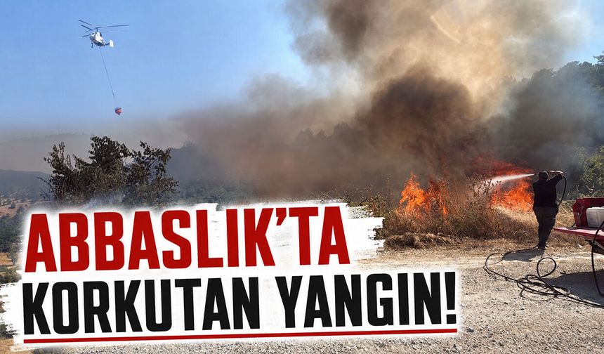 Abbaslık'ta korkutan yangın!