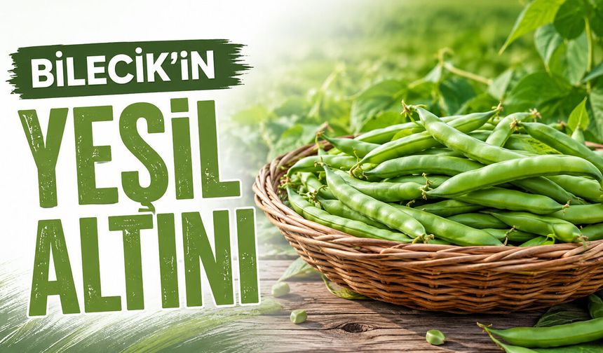 Bilecik’in Yeşil Altını