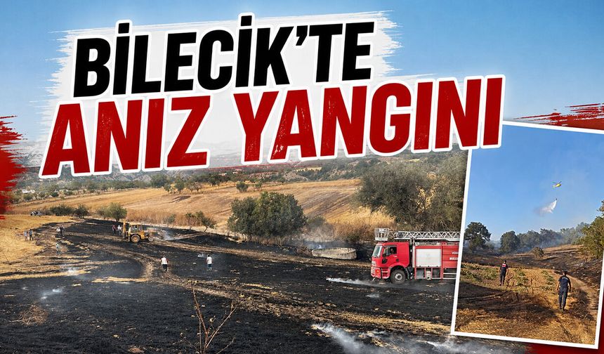 Bilecik'te anız yangını