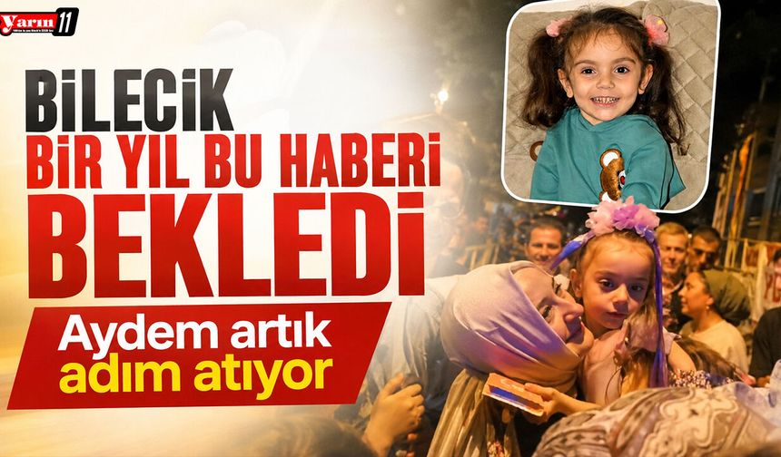 Bilecik bir yıl bu haberi bekledi: Aydem artık adım atıyor