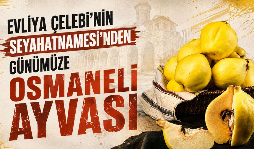 Evliya Çelebi’nin Seyahatnamesi’nden günümüze Osmaneli Ayvası