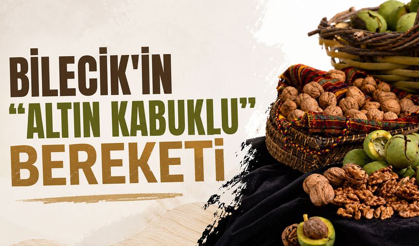 Bilecik'in "Altın Kabuklu" Bereketi