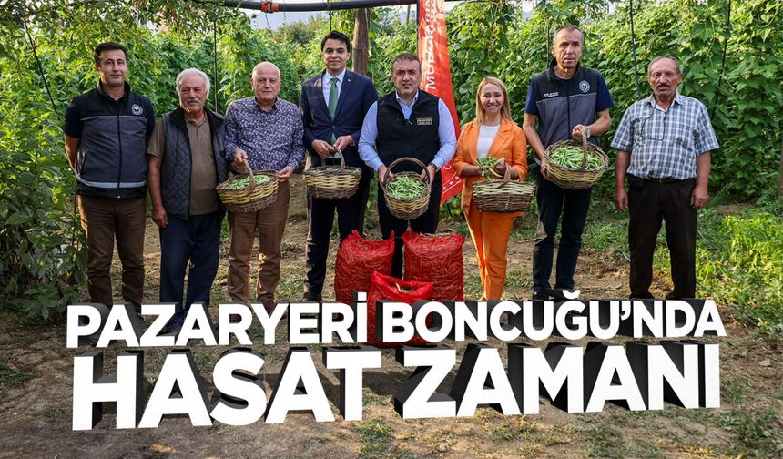 Pazaryeri Boncuğu’nda Hasat Zamanı