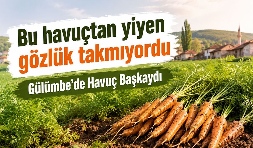 Bu havuçtan yiyen gözlük takmıyordu