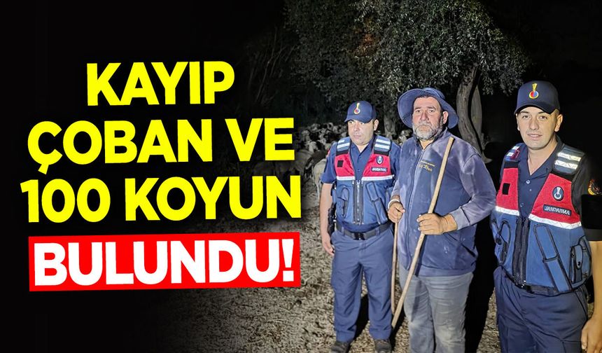 Kayıp Çoban ve 100 Koyun Gece Boyu Süren Aramanın Ardından Bulundu