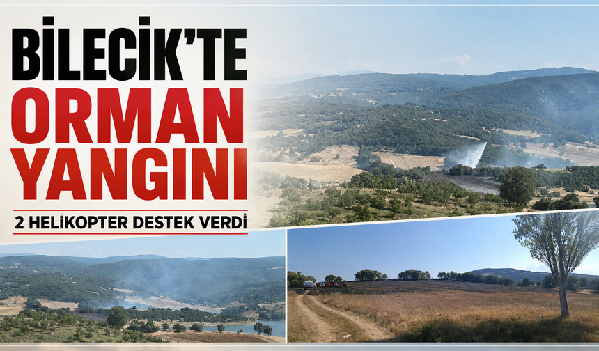 Bilecik'te orman yangını