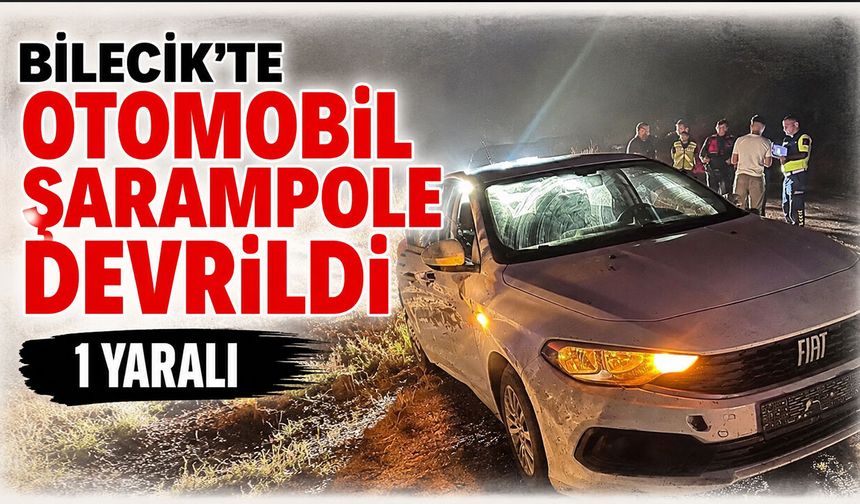 Bilecik'te Otomobil Şarampole Devrildi: 1 yaralı