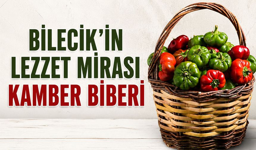 Bilecik’in Lezzet Mirası Kamber Biberi