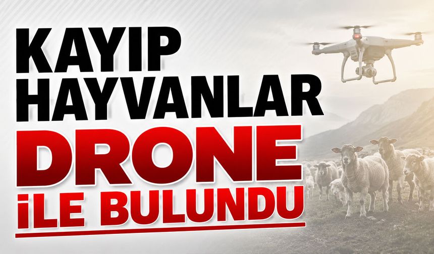 Kayıp Hayvanlar Drone ile Bulundu