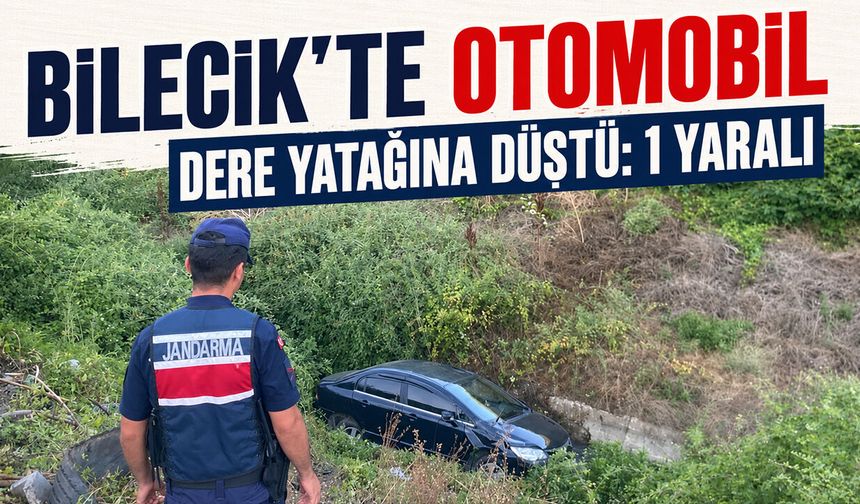 Bilecik'te Otomobil Dere Yatağına Düştü: 1 Yaralı