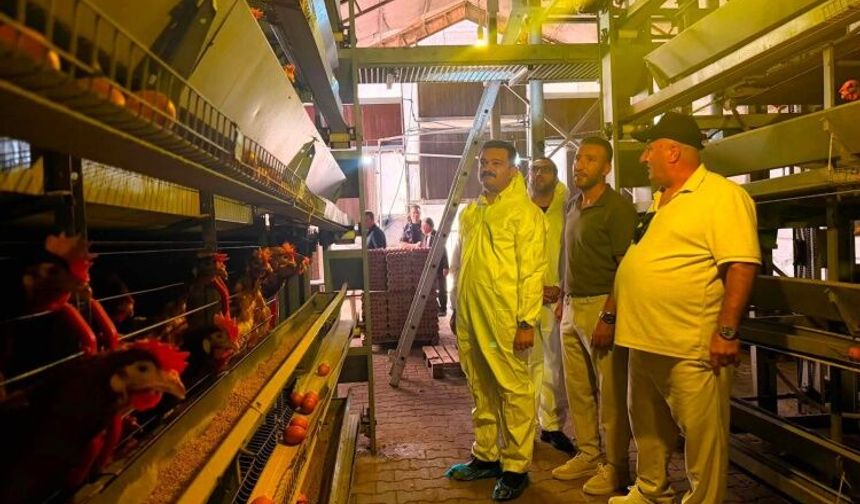 Küçükyenice’de Üretim Gücü: Mantar ve Yumurta Tesisleri İncelendi