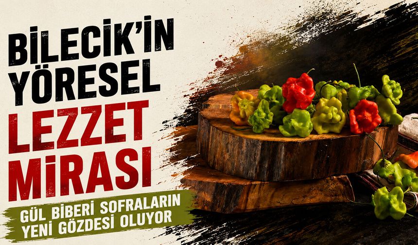 Bilecik’in Yöresel Lezzet Mirası