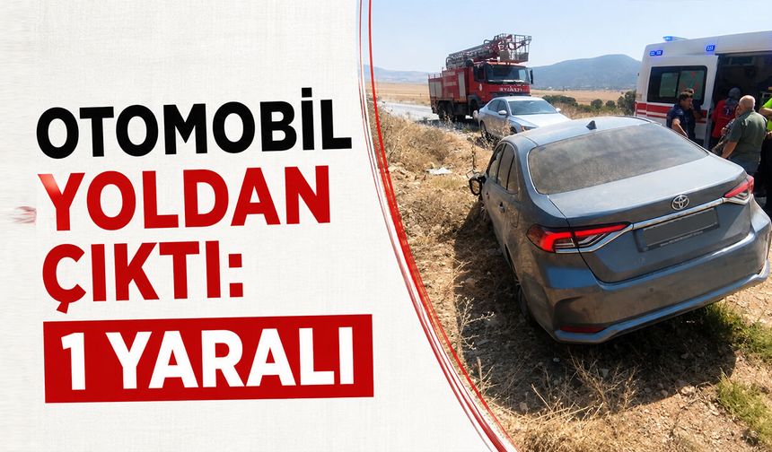 Otomobil Yoldan Çıktı: 1 Yaralı