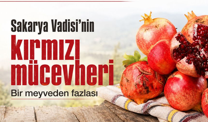 Sakarya Vadisi’nin kırmızı mücevheri