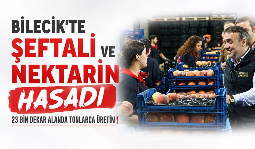 Vali Sözer, Şeftali ve Nektarin Hasadına Katıldı, Üreticileri Dinledi