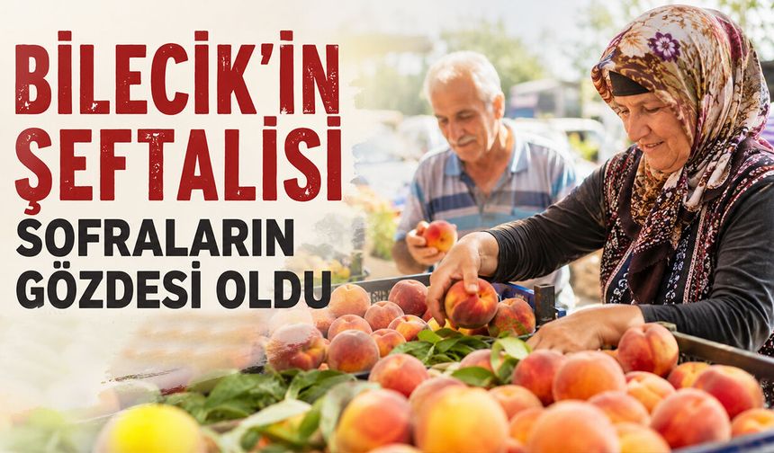 Bilecik’in şeftalisi sofraların gözdesi oldu