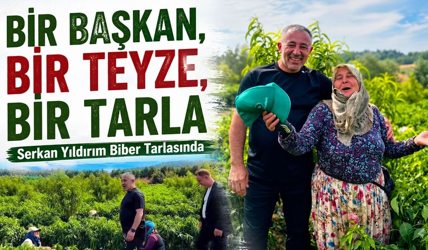 Bir Başkan, Bir Teyze, Bir Tarla: Serkan Yıldırım Biber Tarlasında
