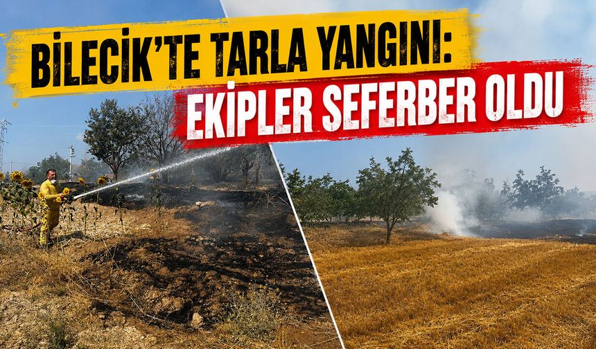 Bilecik'te Tarla Yangını: Ekipler Seferber Oldu