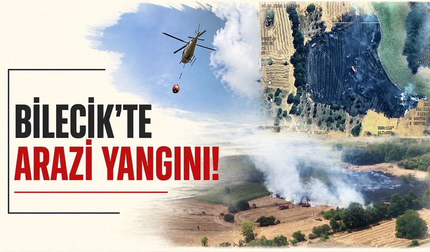 Bilecik'te arazi yangını!