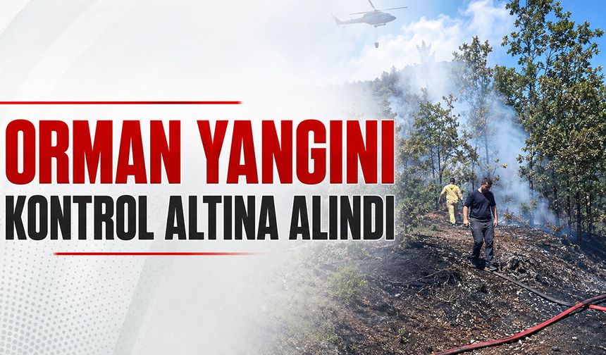 Orman yangını kontrol altına alındı