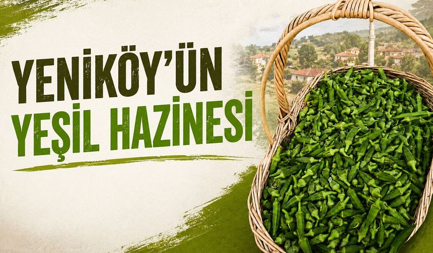 Yeniköy’ün Yeşil Hazinesi