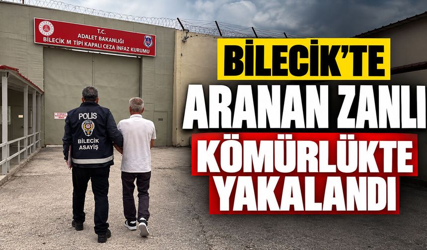Bilecik'te aranan zanlı kömürlükte yakalandı