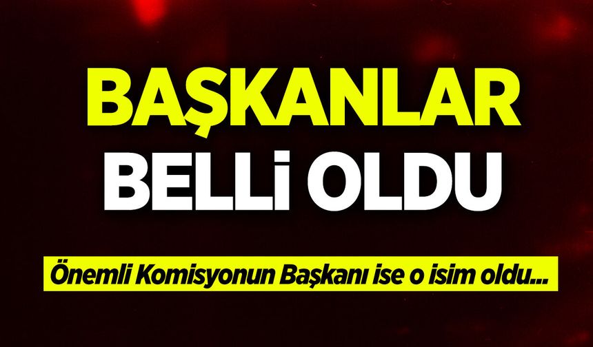 Bilecik İl Genel Meclisi’nde Komisyon Başkanları Belli Oldu