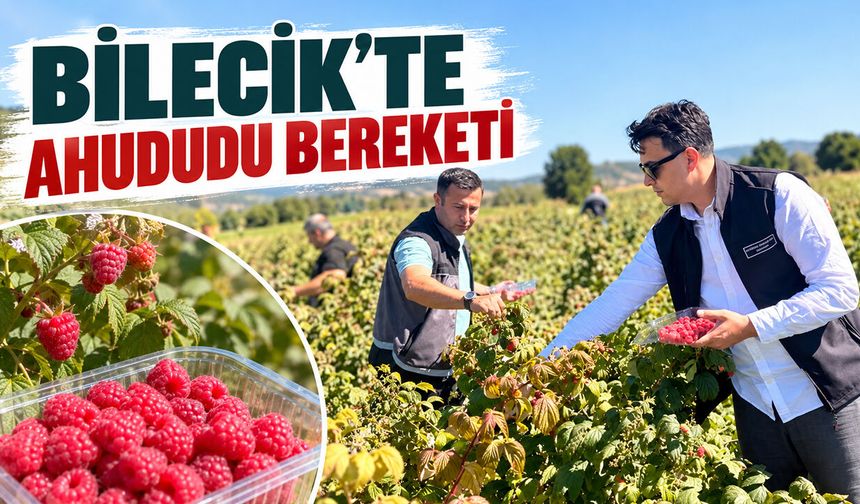 Bilecik’te Ahududu Bereketi