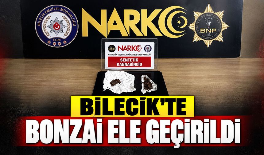 Bilecik'te Bonzai Ele Geçirildi