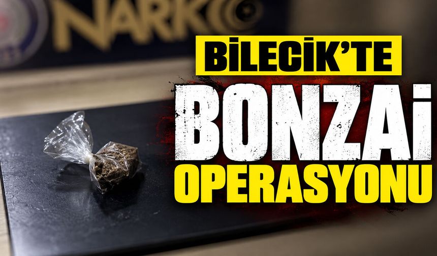 Bilecik'te bonzai operasyonu