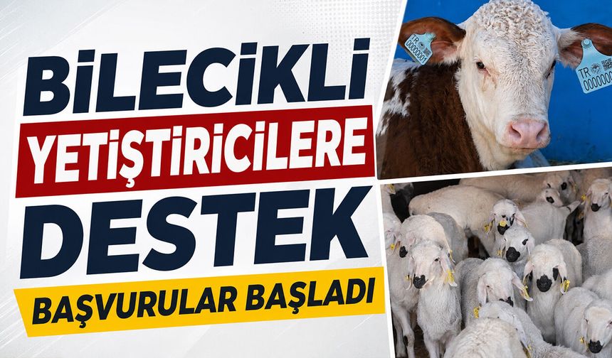 Başvurular Başladı: Bilecikli Yetiştiricilere Destek