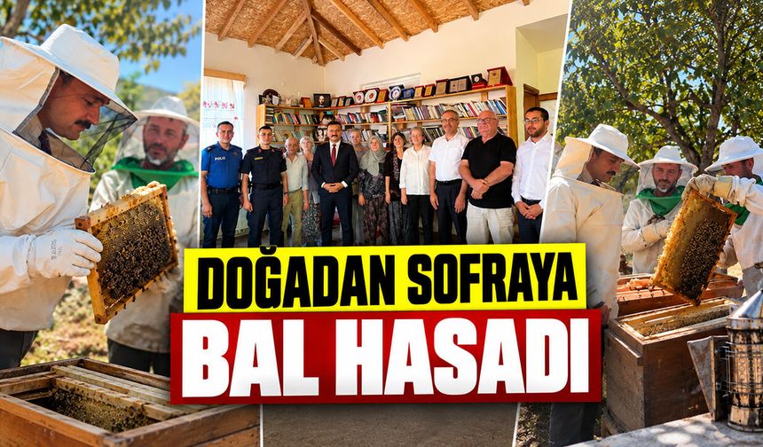 Doğadan Sofraya Bal Hasadı