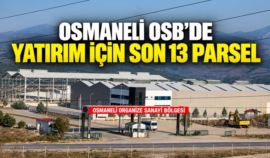 Osmaneli OSB’de yatırım için son 13 parsel