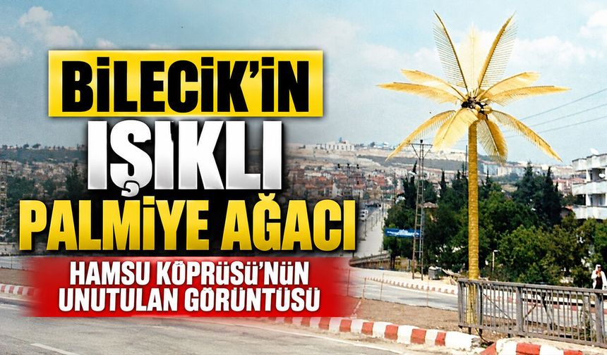 Bilecik’in ışıklı palmiye ağacı: Hamsu Köprüsü’nün unutulan görüntüsü