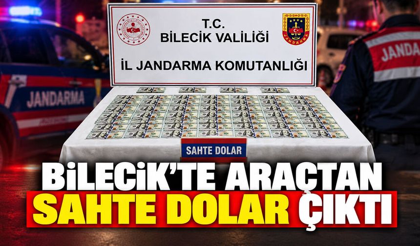 Bilecik'te araçtan sahte dolar çıktı