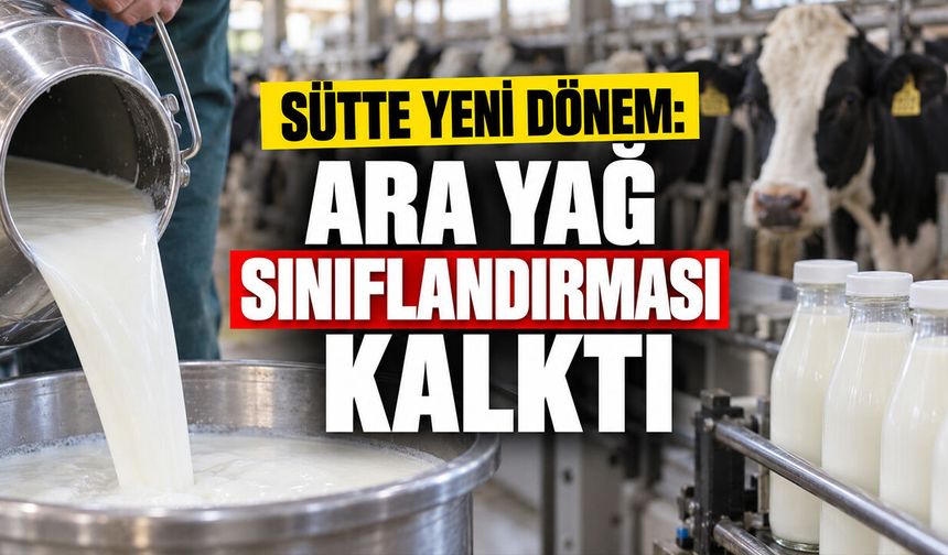 Sütte Yeni Dönem: Ara Yağ Sınıflandırması Kalktı