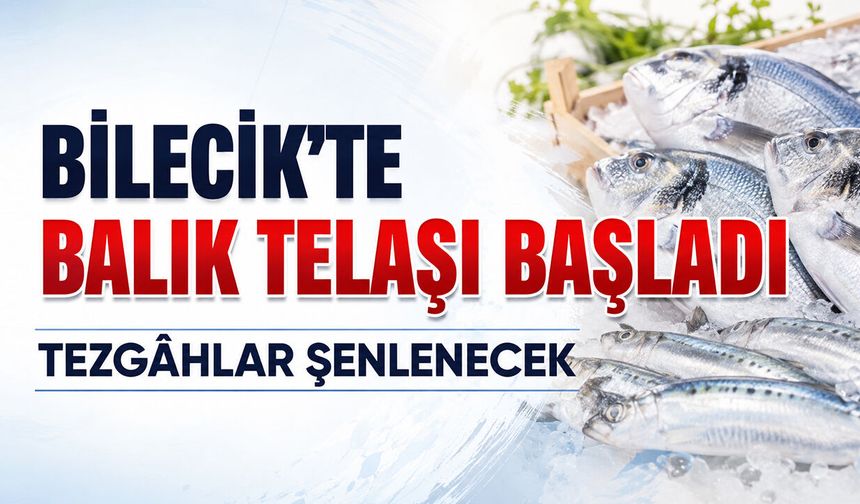 Bilecik’te Balık Telaşı Başladı: Tezgâhlar Şenlenecek