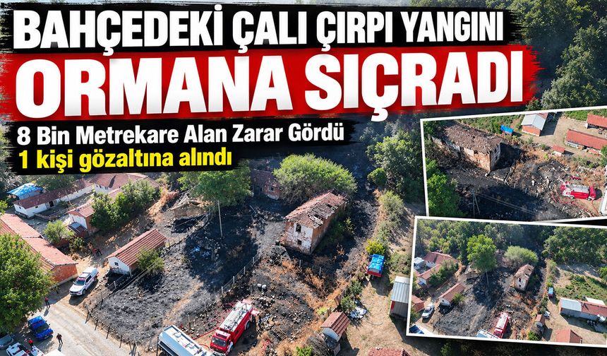 Bahçedeki Çalı Çırpı Yangını Ormana Sıçradı: 8 Bin Metrekare Alan Zarar Gördü